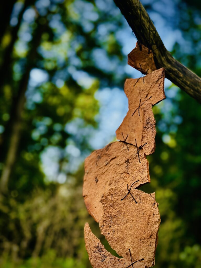 Katie Bassett_Detail